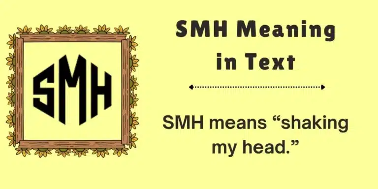 what does smh mean in text